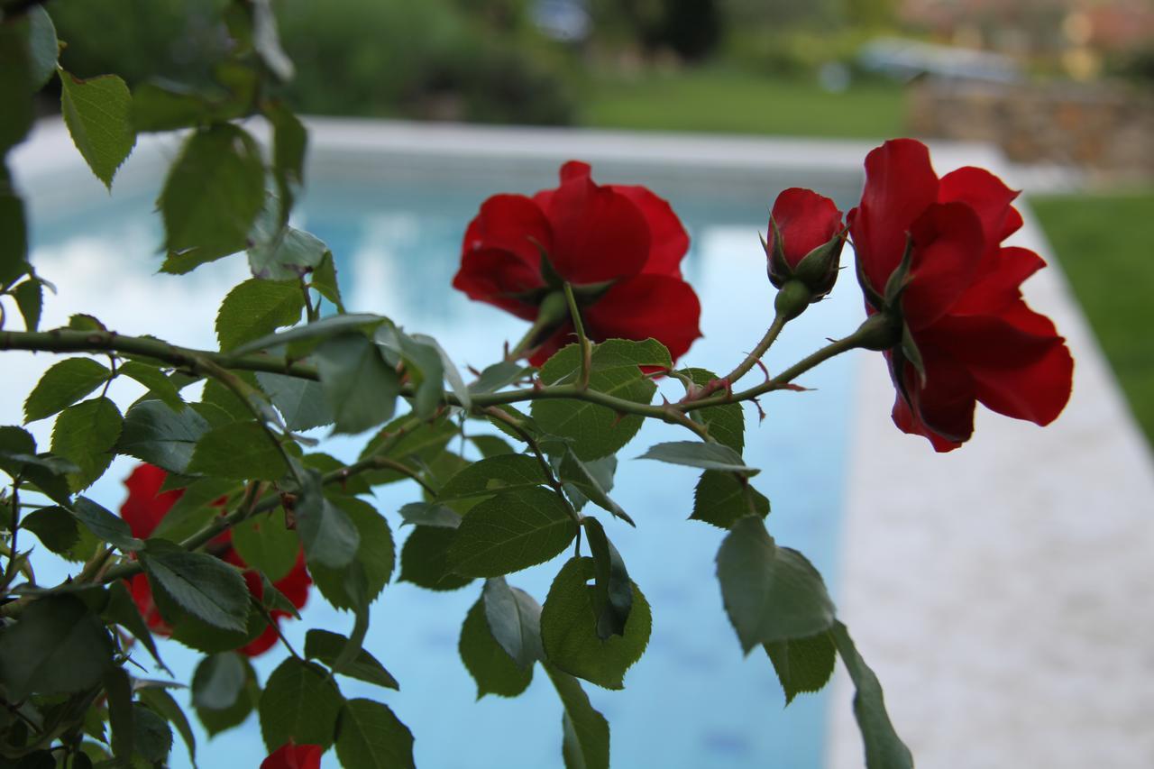 B&B - Relais De Charme La Caminella San Pietro in Cariano Exteriér fotografie